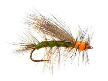 Stimulator Olive 8