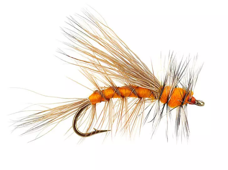 Stimulator Orange 10