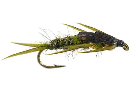 Double BH Olive Stonefly 8