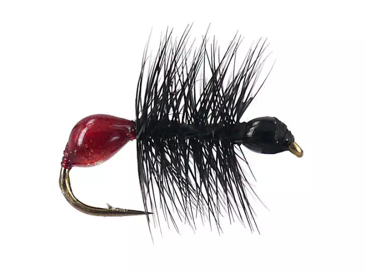 Hard Body Bicoloured Red Black Ant 12