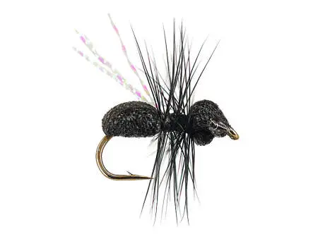 Magic Wing Flying Ant 12