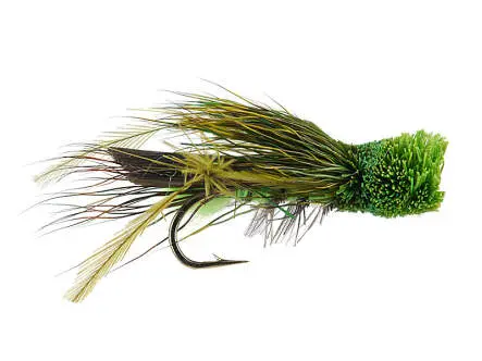 Green Cicada 12