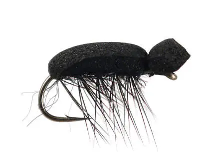 Tonis Foam Beetle 12