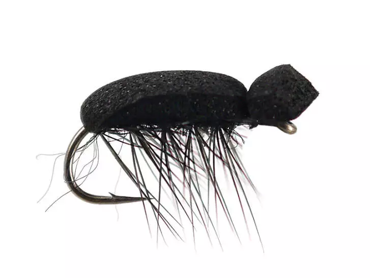 Tonis Foam Beetle 18