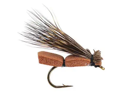 Foam Bug Brown 12