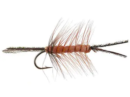 Foam Cata Pillar Brown 10