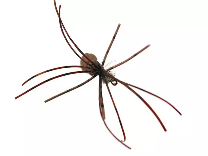 Foam Spider 14