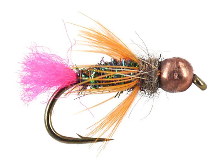 TG Trout Scare 12