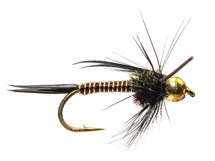 TG Black Prince 12