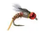 TG Downeys Master - Baetis 14