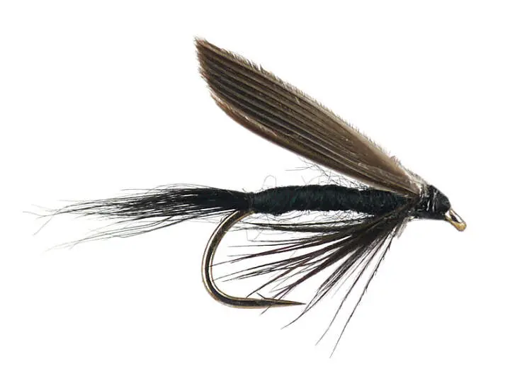 Black Gnat 18