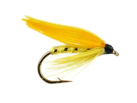 Yellow Sally 14