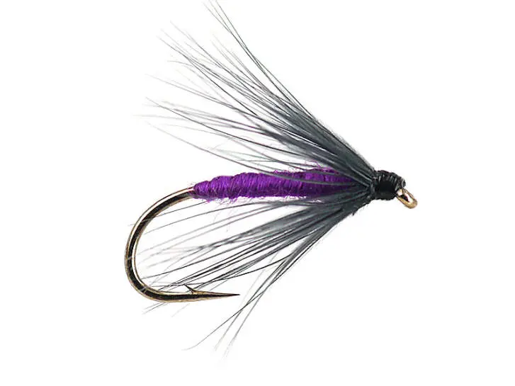 Snipe And Purple 12