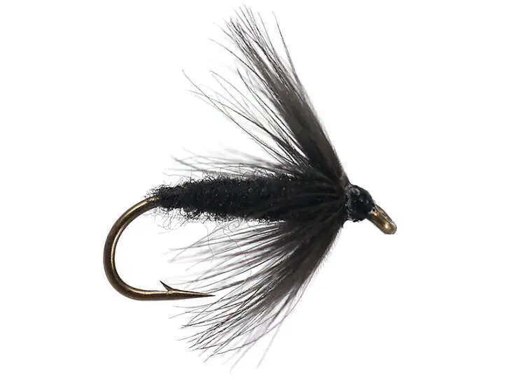 Black Spider 14