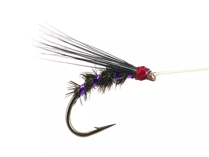 Riofranz Premium Violet 16