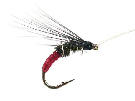 Franz Bipeack Red 16