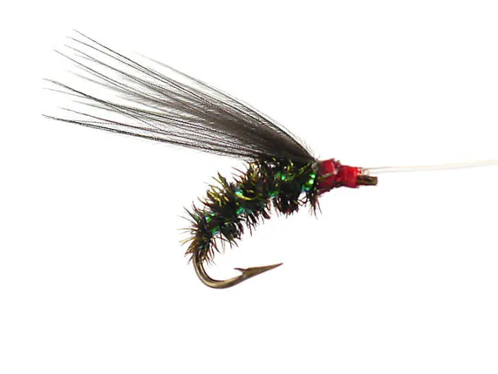 Wooly Peacock Green 16