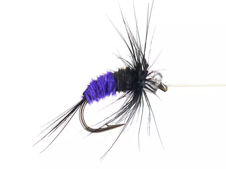 Rienza Premium BI Violet 14