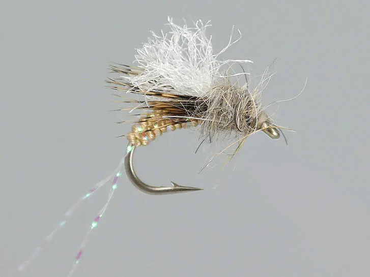 Taylors Bread and Butter 14