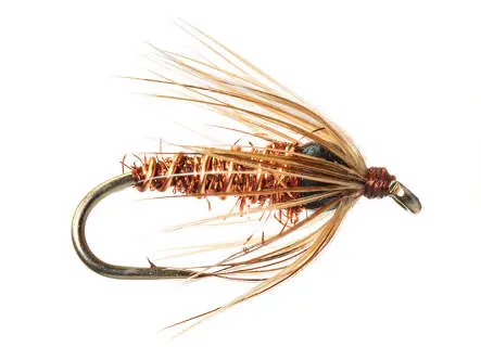 BH Soft Hackle - Pheasant Tail 12