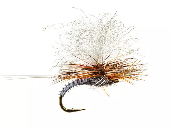 Christiaens GT Adult - Adams 14