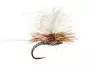 Christiaens GT Adult - Adams 14