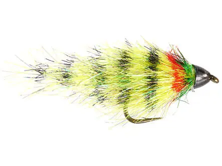 Petras Yellow Striped Body 8