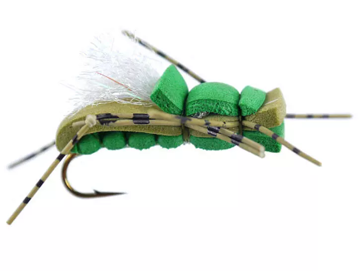 Rat Alber Olive 12