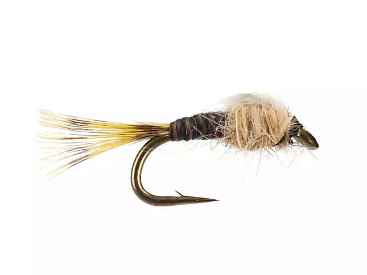 Olive Neanid Serie 03 - Blue Dun 18