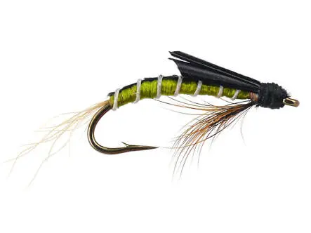 Olive Swimming Nymph - Medium Olive 16