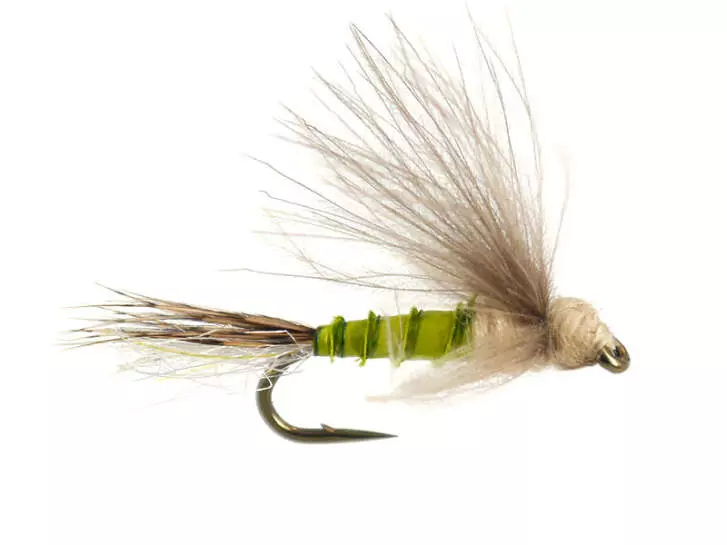 Bwo Transition Dun