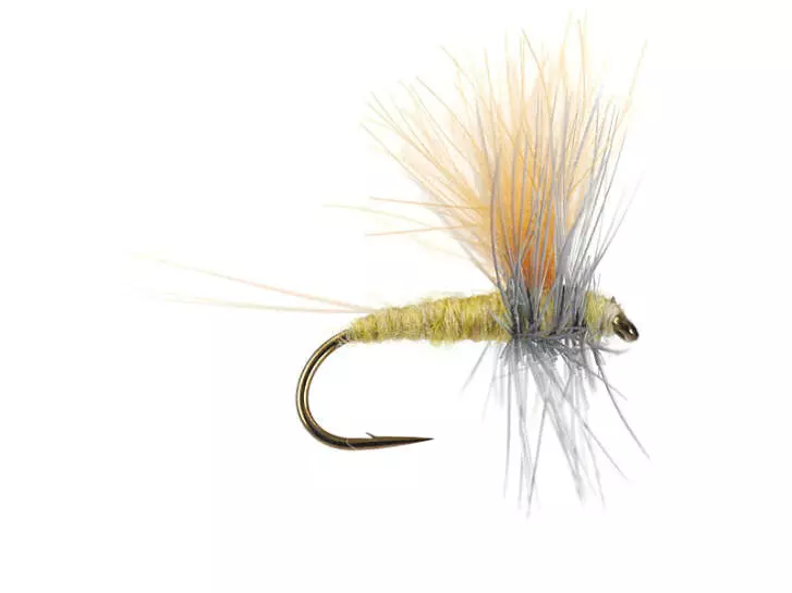 Olive Dun Cut Thorax - Pale Olive
