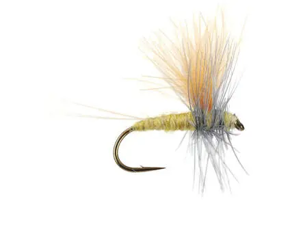 Olive Dun Cut Thorax - Pale Olive