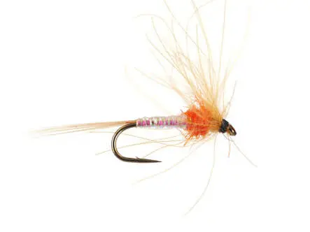 Olive Spinner - Orange