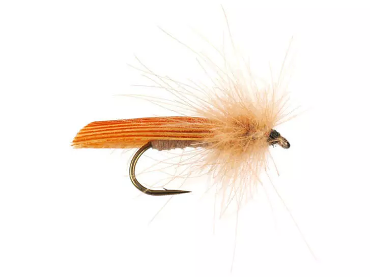 S1 Sedge - Cinnamon