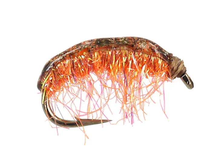 Gammarus 04 - Orange