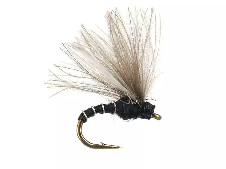 Caenis Emerger 02 22