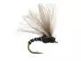 Caenis Emerger 02 22
