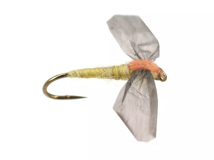 Olive Cripple - Pale Olive 16