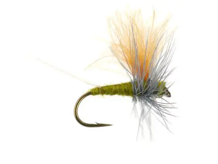Olive Dun Cut Thorax - Medium Olive 14