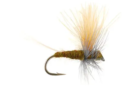 Olive Dun Cut Thorax - Dark Olive 16