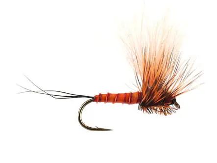 H-Dun Cut - Brown-Reddish 12