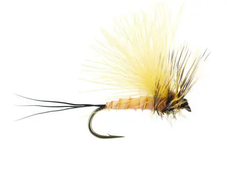 H-Dun Cut - Yellow-Yellowish 12