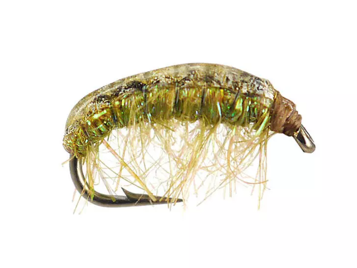 Gammarus 01 - Pale Olive 14