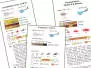 Set Plecoptera (Needle & Stone) - XXL - 12 Fliegen