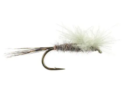 CDC Para Emerger
