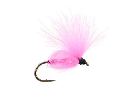 CDC Arpo - Pink