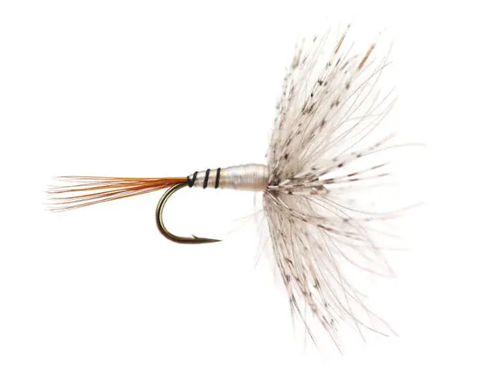 CDC Devaux 699