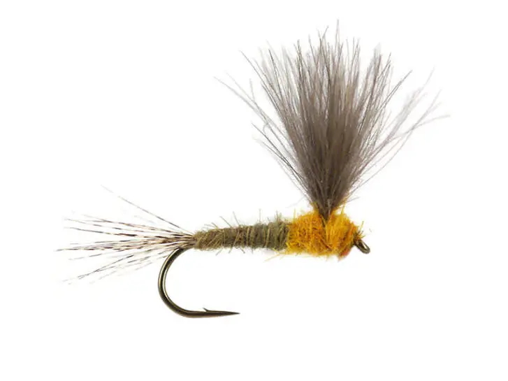 CDC Upright - Yellow May 12