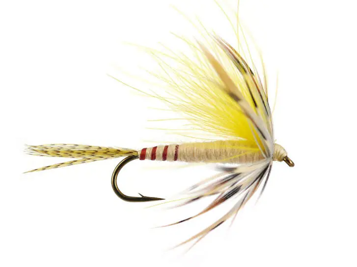 CDC French Partridge 12